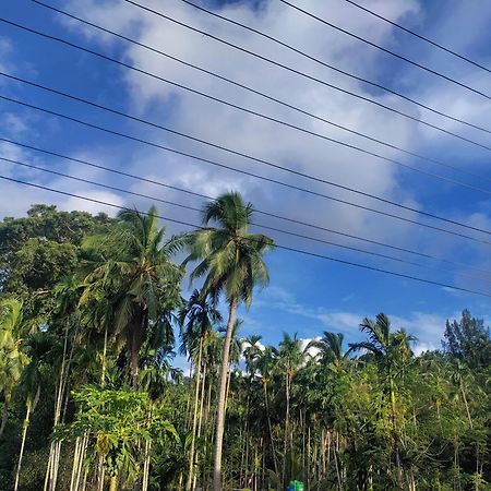 Hilton Garden Homestay Port Blair Dış mekan fotoğraf