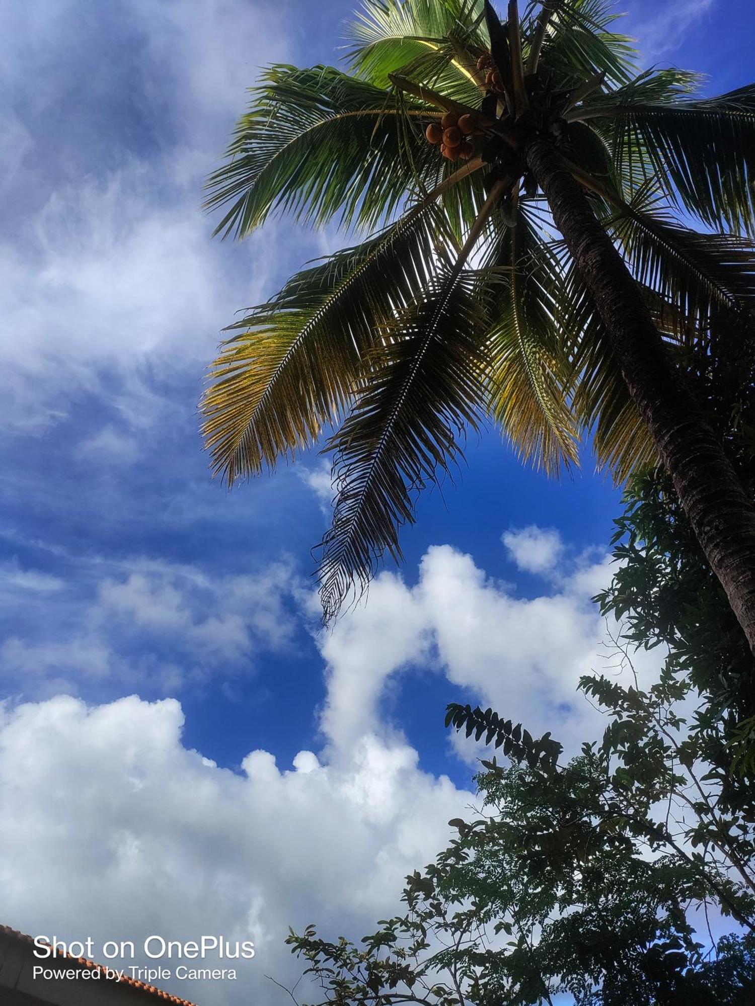 Hilton Garden Homestay Port Blair Dış mekan fotoğraf