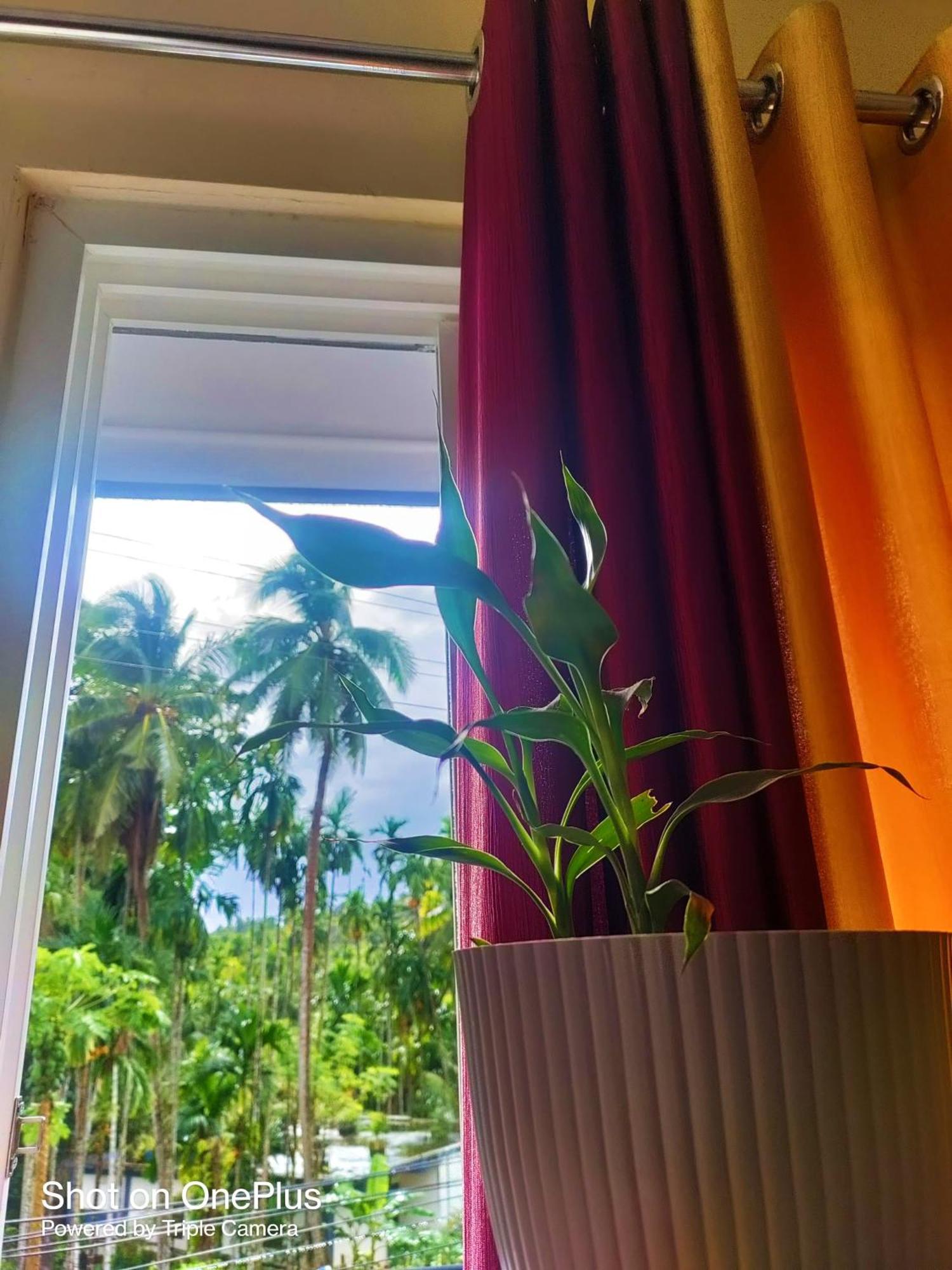 Hilton Garden Homestay Port Blair Dış mekan fotoğraf